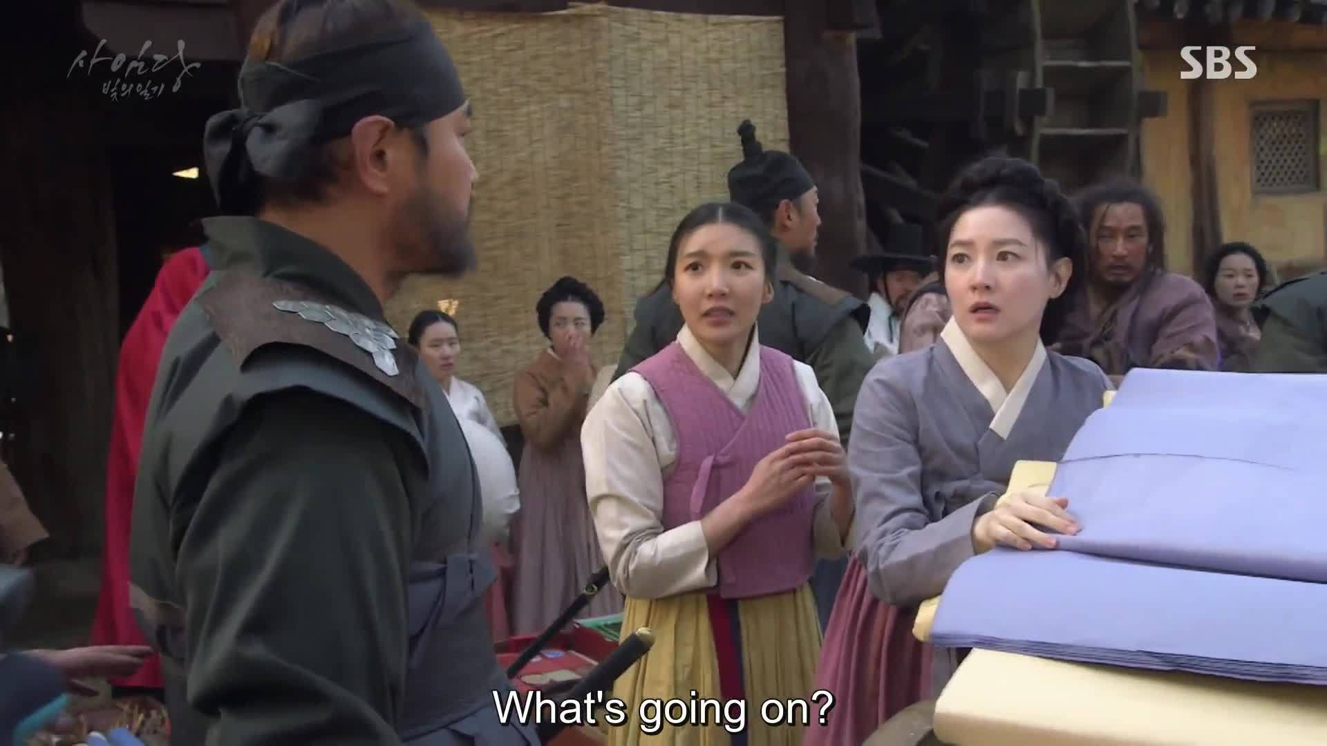 Saimdang, Light’s Diary