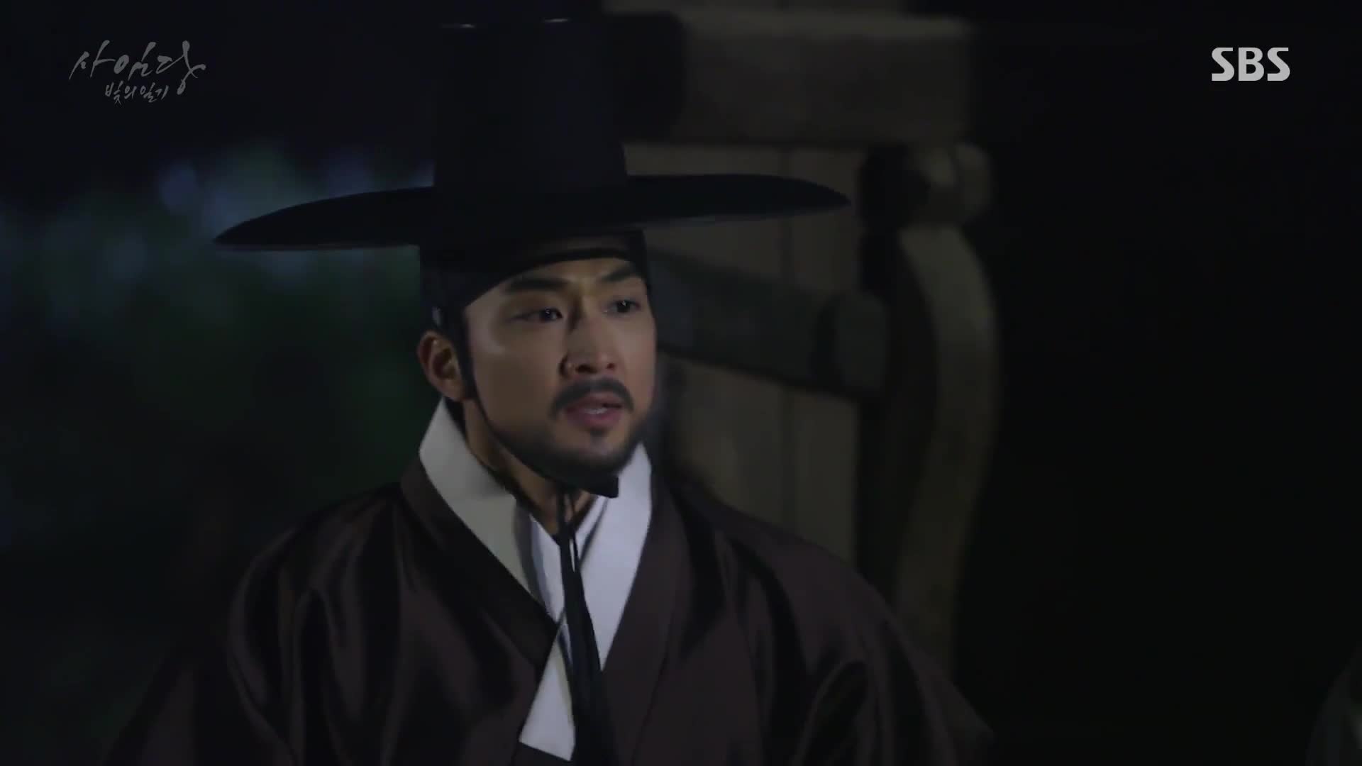 Saimdang, Light’s Diary