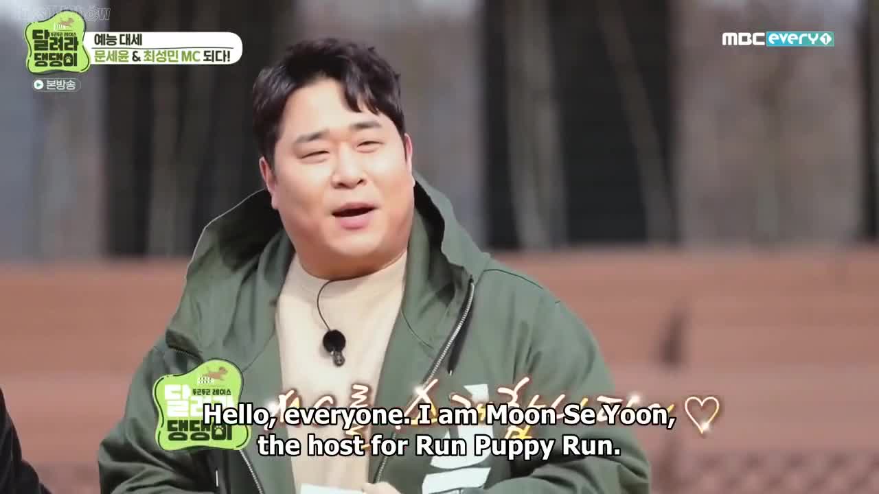 Run Puppy Run