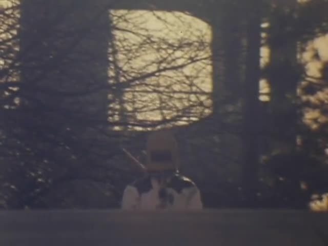 Sekai Ninja Sen Jiraiya (1988)