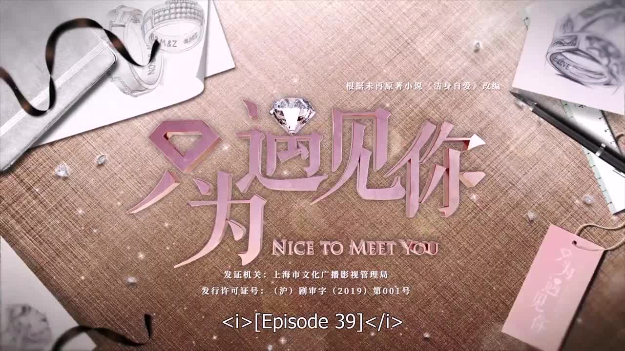 Nice To Meet You (Chinese Drama)