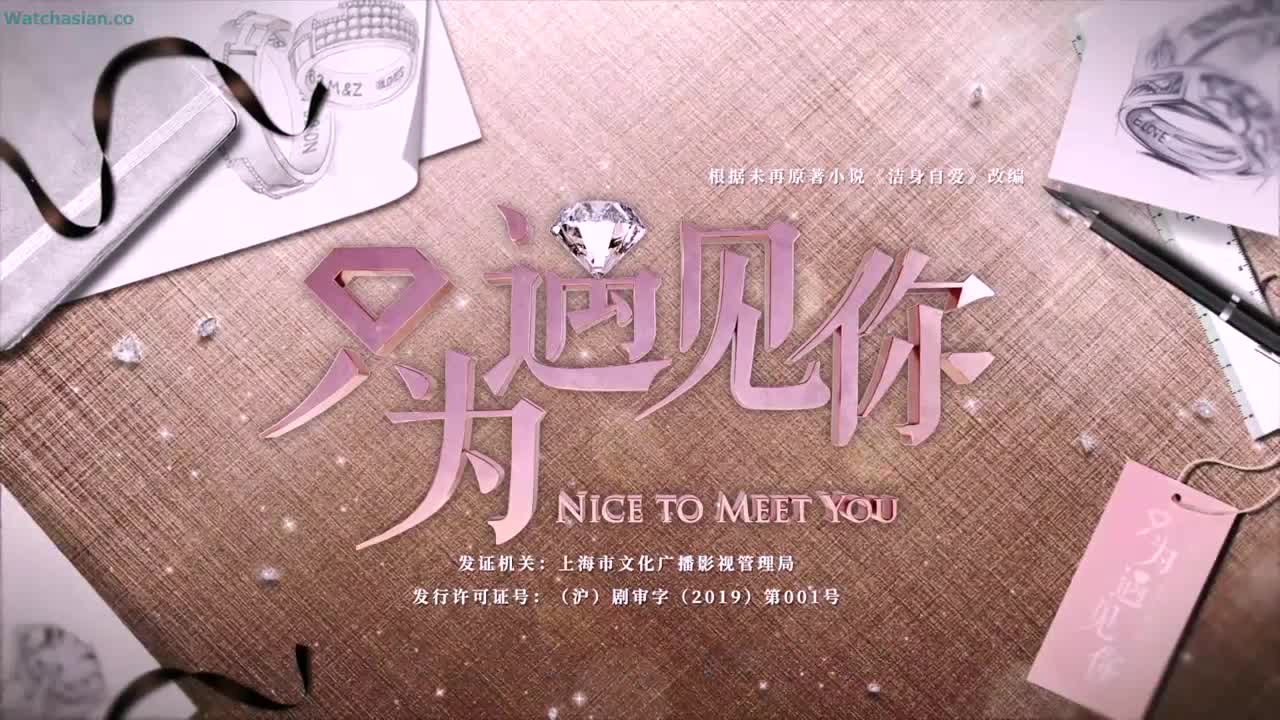 Nice To Meet You (Chinese Drama)