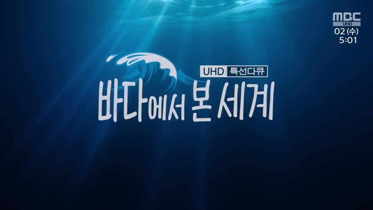 UHD Special Documentary