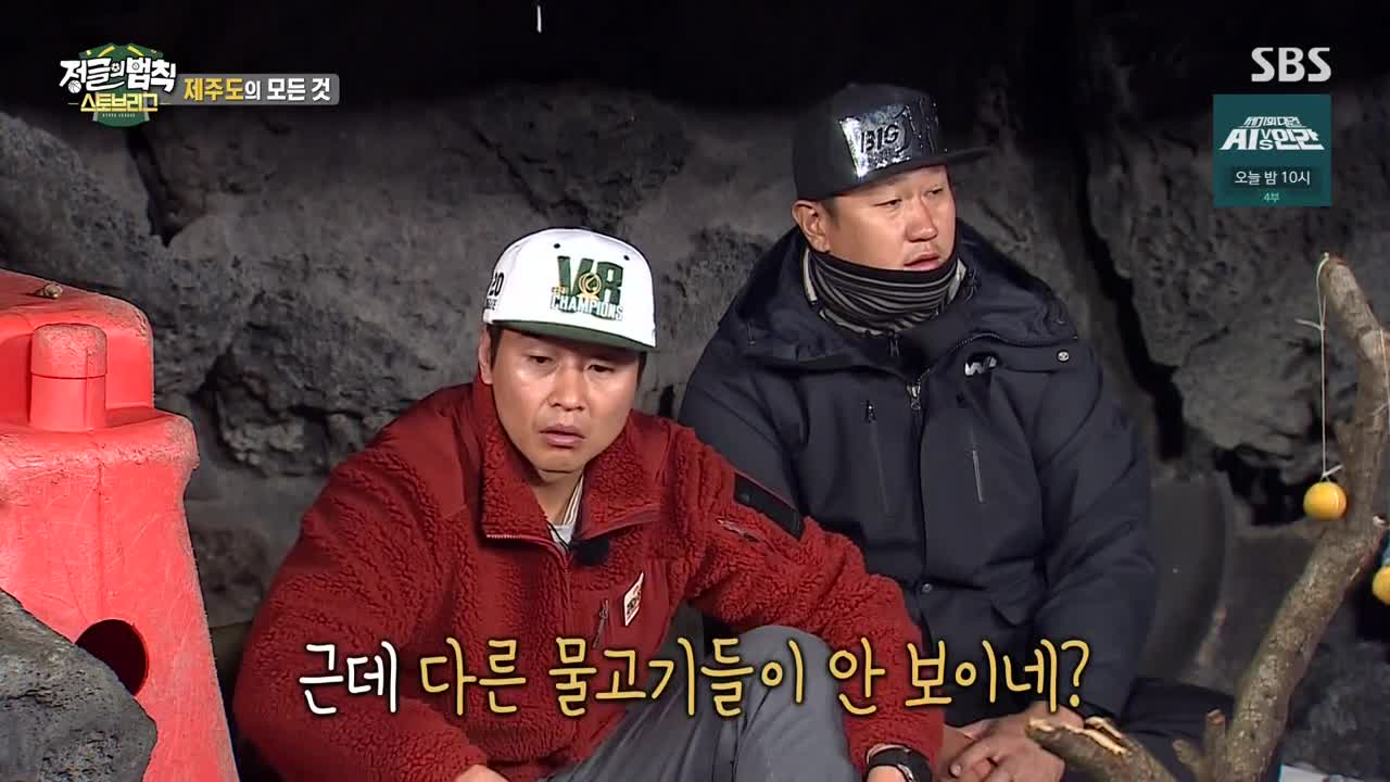 Law of the Jungle Stove League