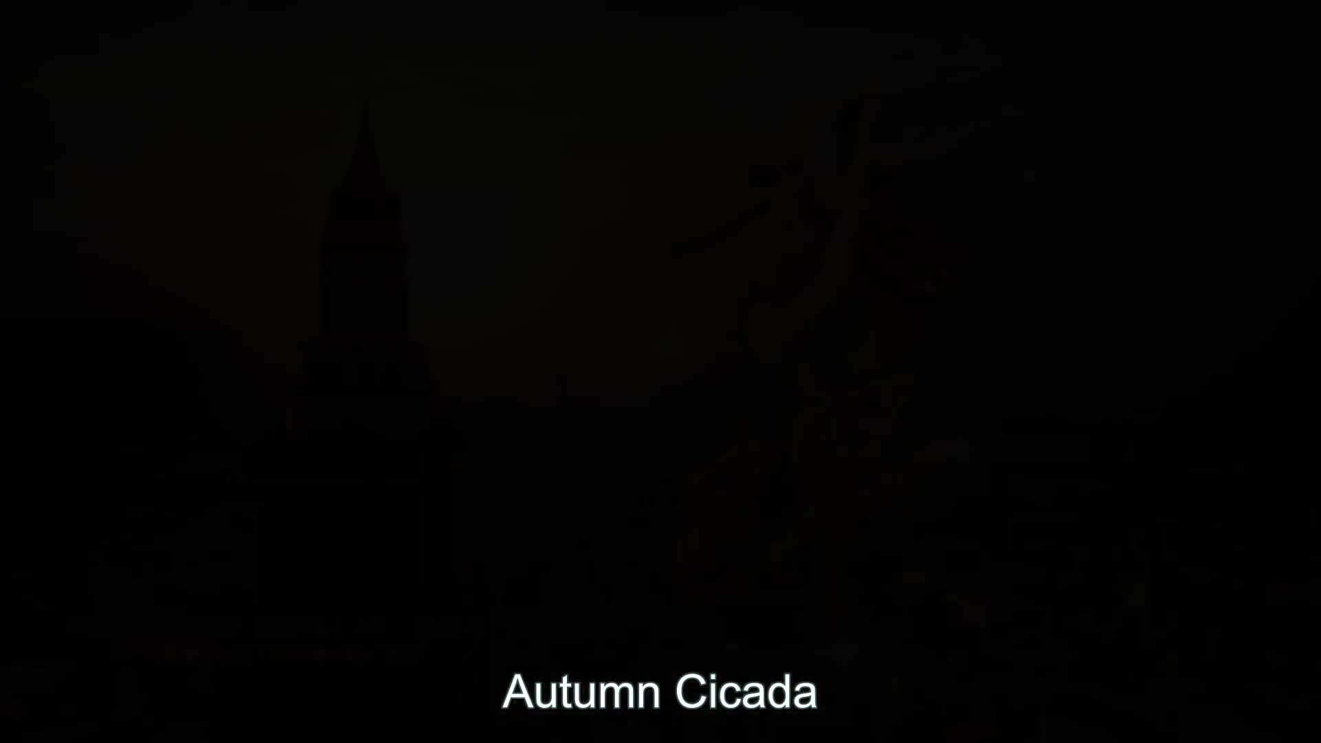 Autumn Cicada