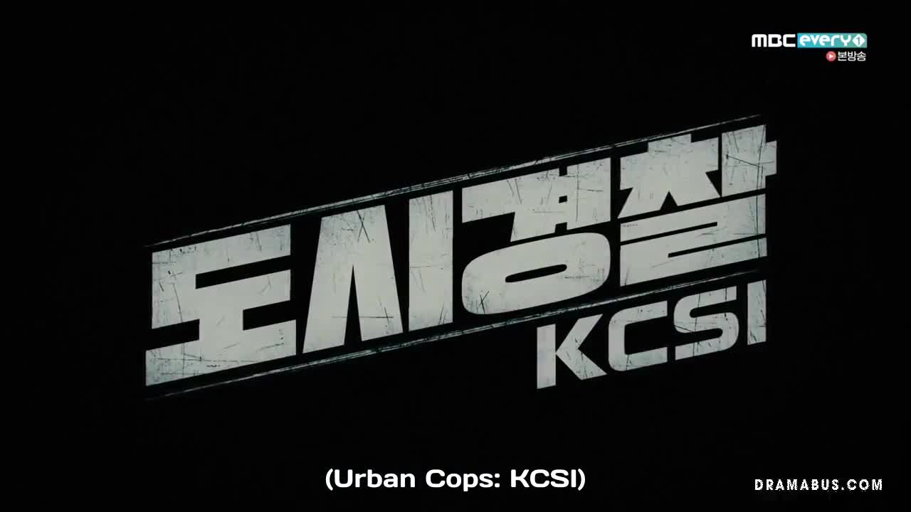 도시경찰 : KCSI