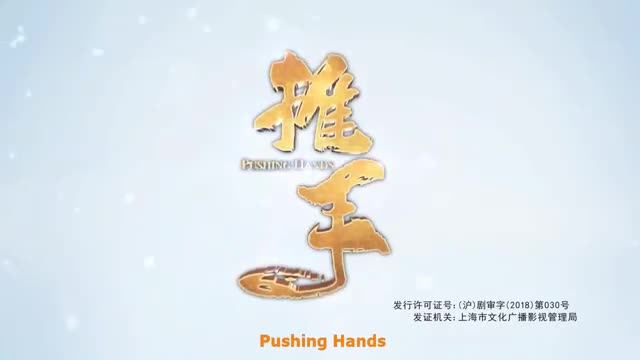 Pushing Hand (2019)