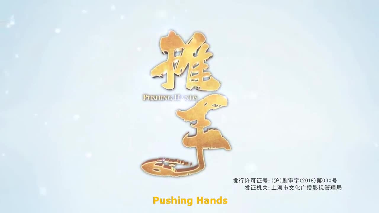 Pushing Hand (2019)