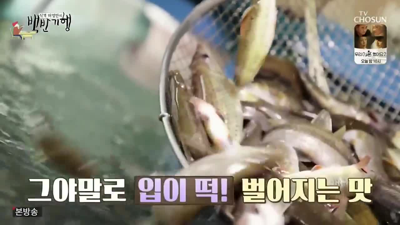 Heo Young Man's Food Travel (2019)