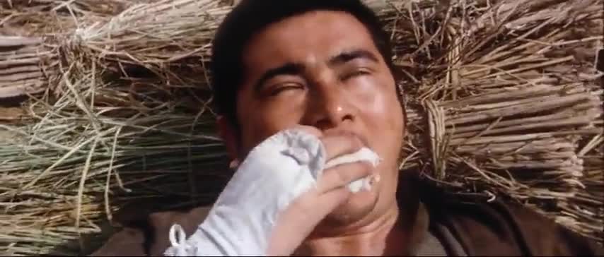 Zatoichi's Revenge