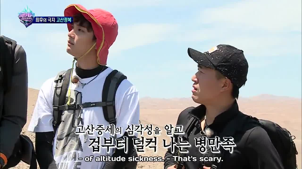 Law of the Jungle