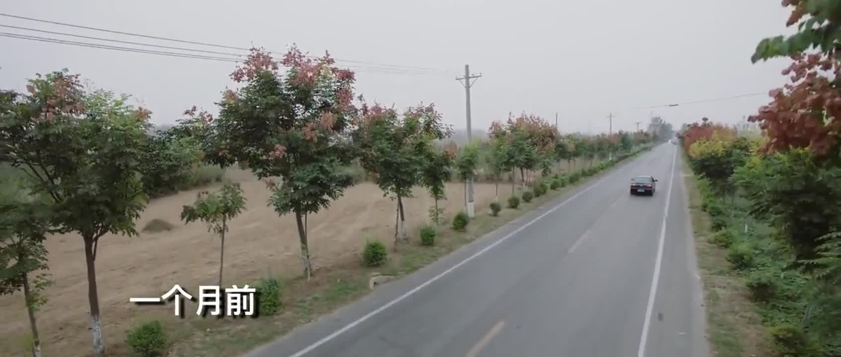  I Come From Beijing: The Rise of the Pear Village (2021)