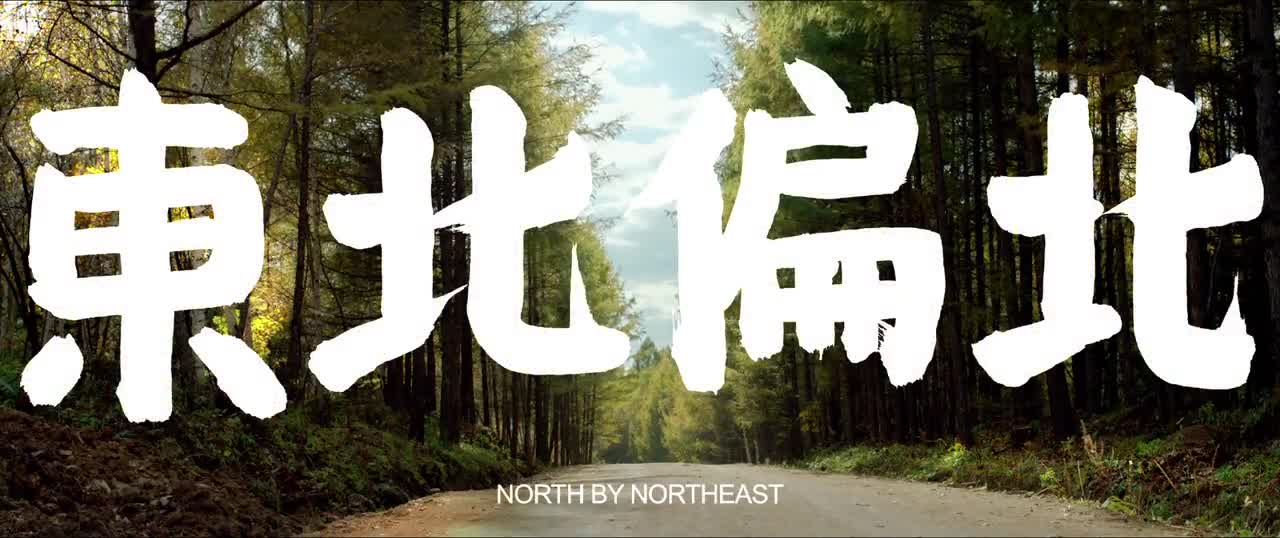 North by Northeast