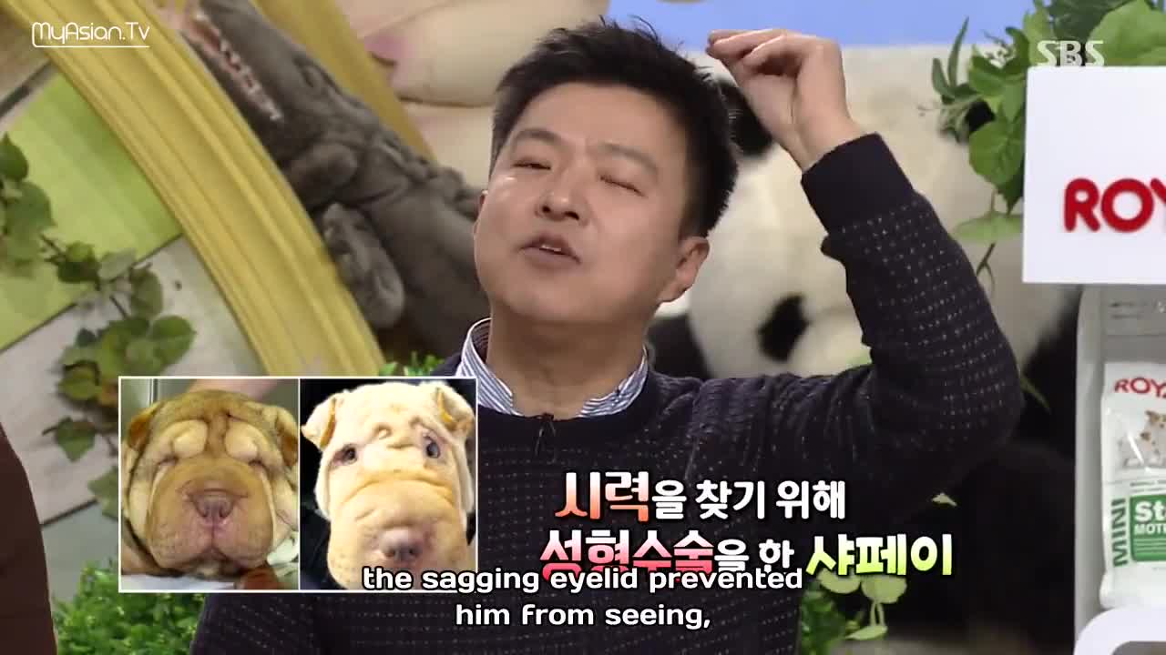 Tv Animal Farm