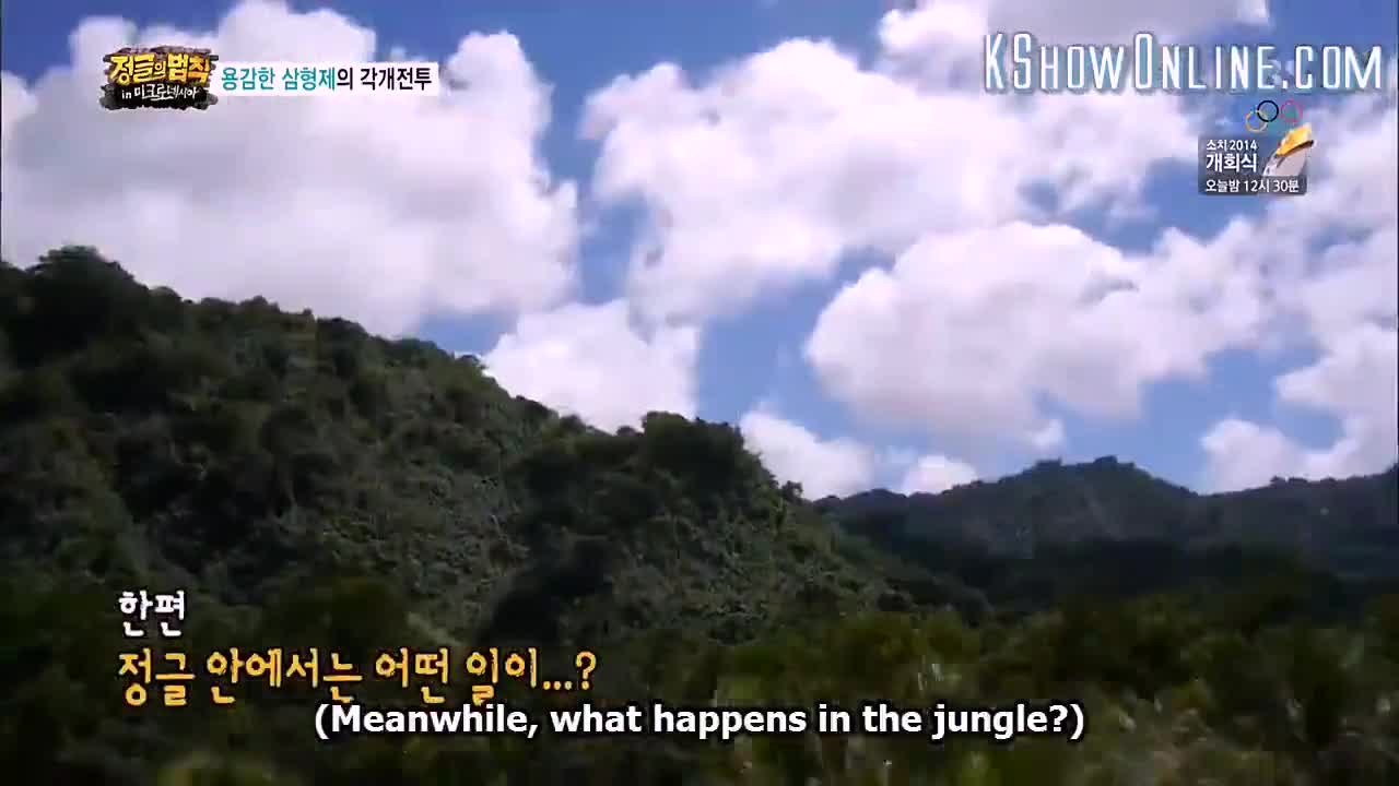 Law of the Jungle in Costa Rica