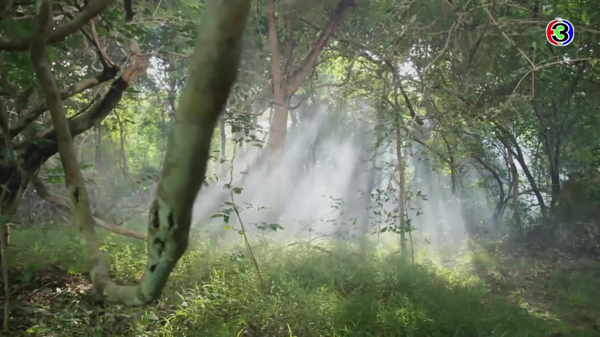 Angkor (2018)