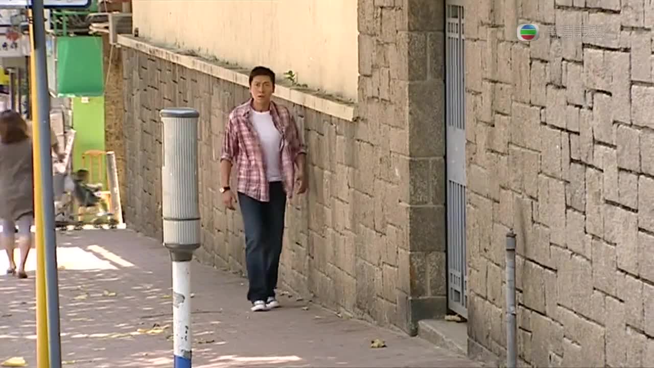 Suspects in Love (2010)