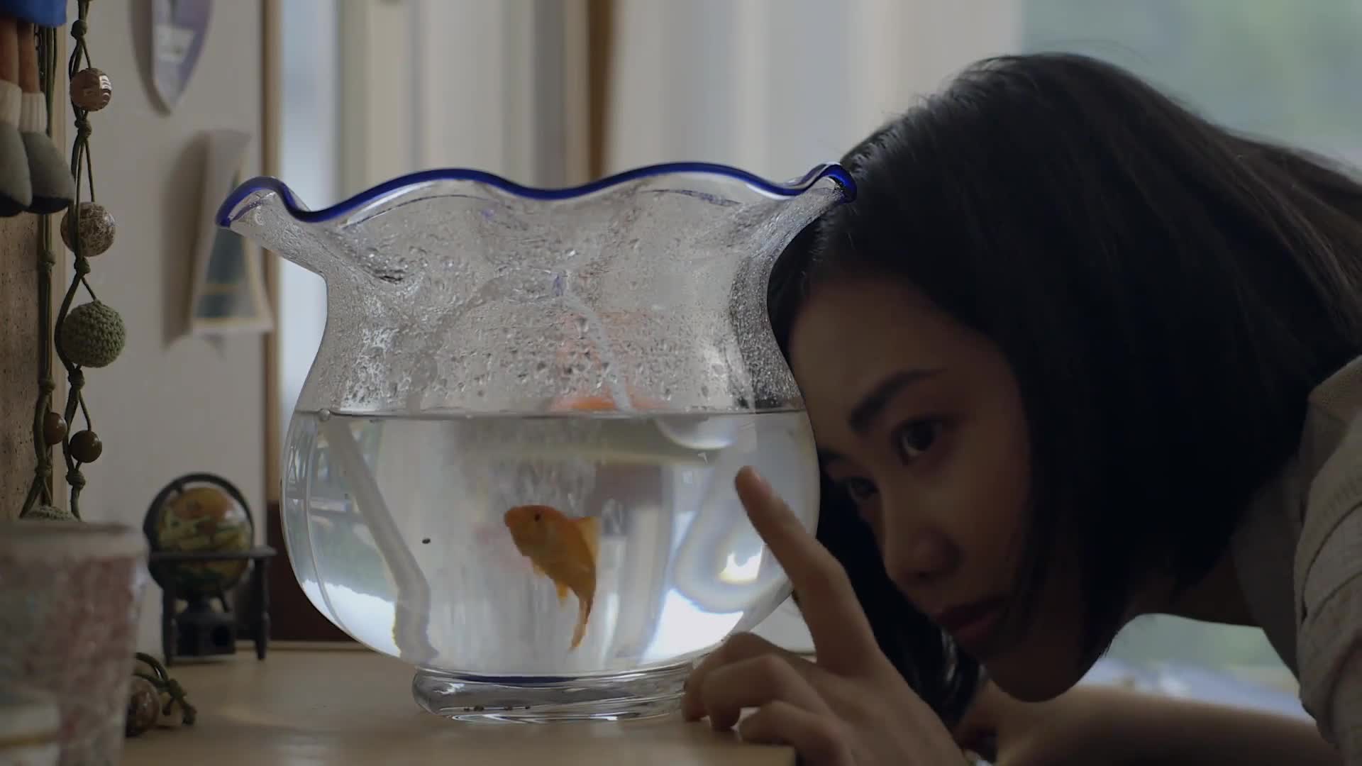 The Goldfish: Dreaming of the Sea (2021)