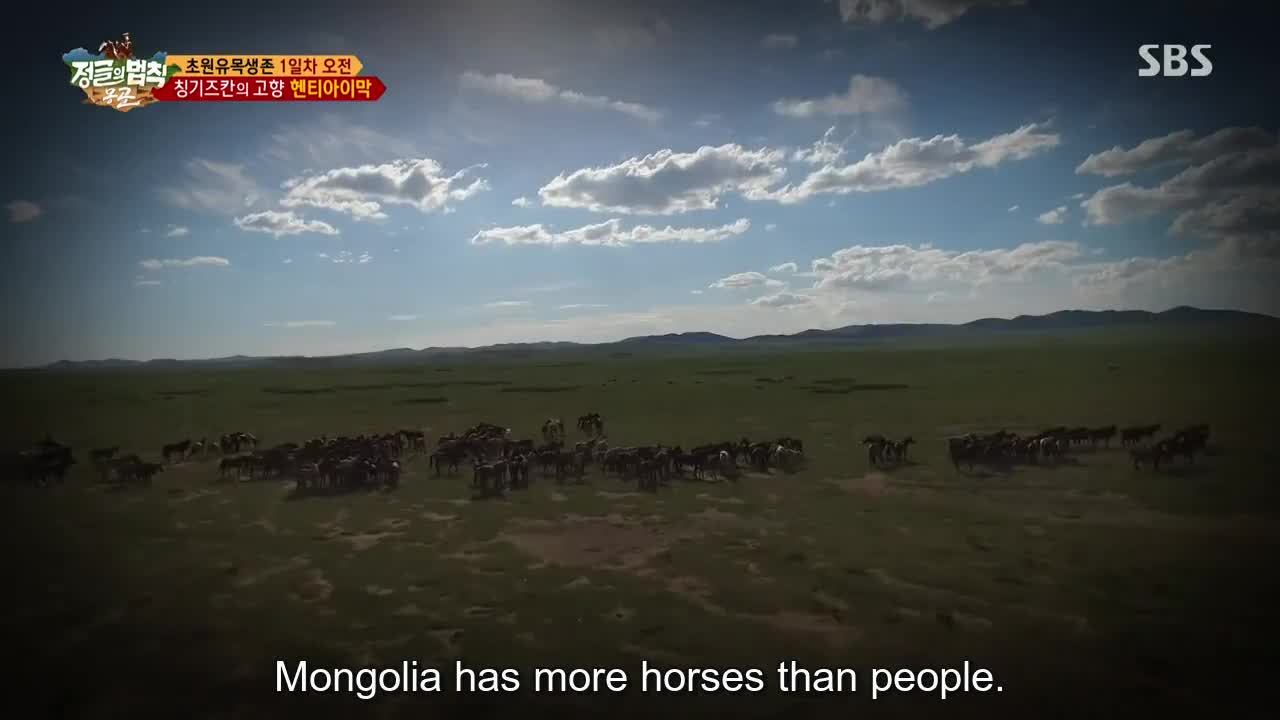 정글의 법칙 in 몽골