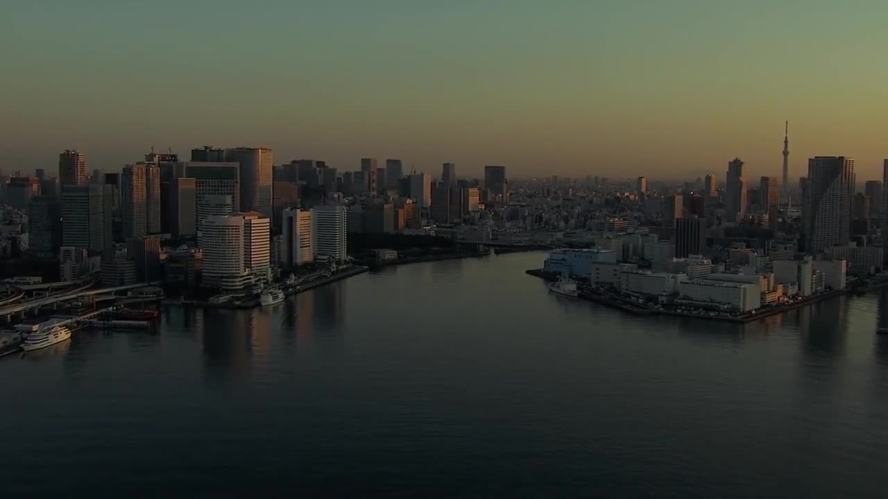 Tsukiji Wonderland